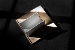 Daniele Dalla Pellegrina